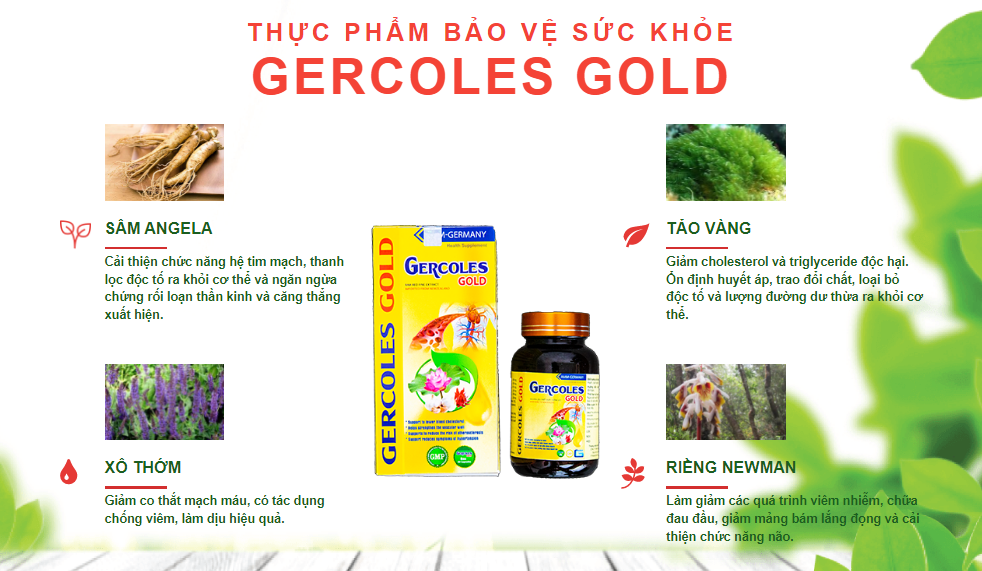 Gercoles Gold Thành phần