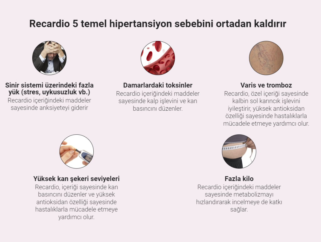 Recardio İçindekiler