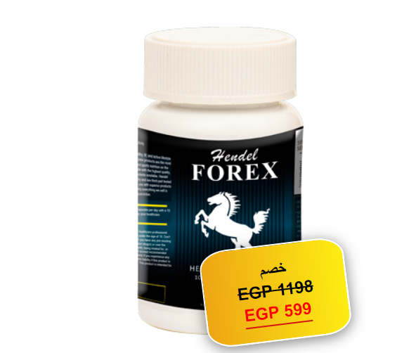 Hendel Forex Egypt 1