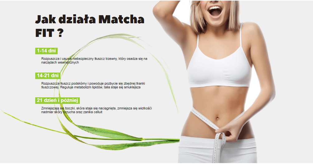 Matcha FIT Cena £