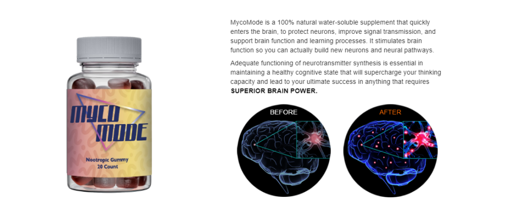 MycoMode Nootropic Brain Gummies ingredients
