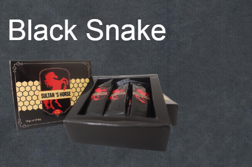 Sultan Horse Libya 4